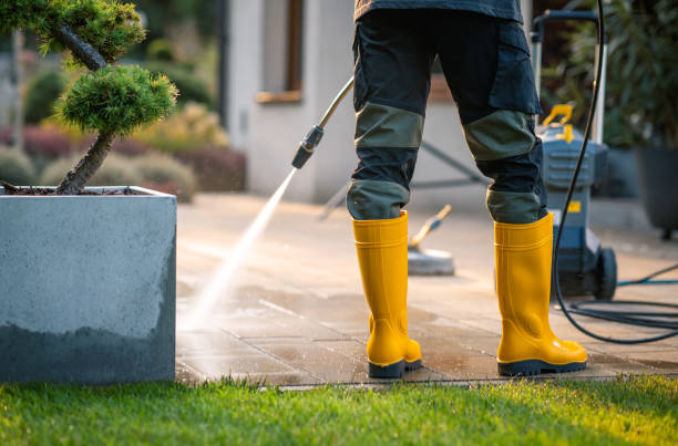 Best Affordable Pressure Washing  in Cottage Grove, OR